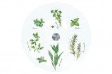 Блюдо стеклянное (вращающееся) Herbarium в подарочной упаковке
